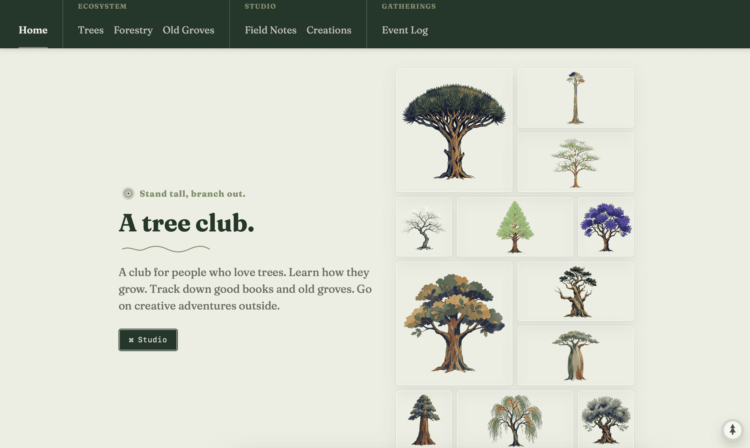 a tree club landing