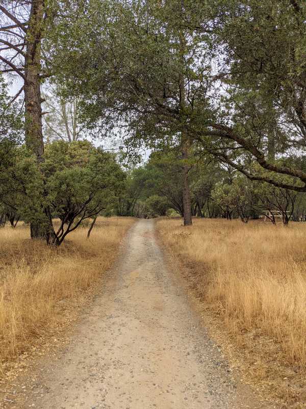 10 day Vipassana retreat - meditation trail