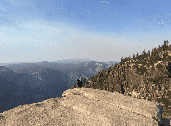 A raven at the overlook