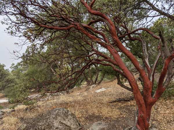 10 day Vipassana retreat - in the woods