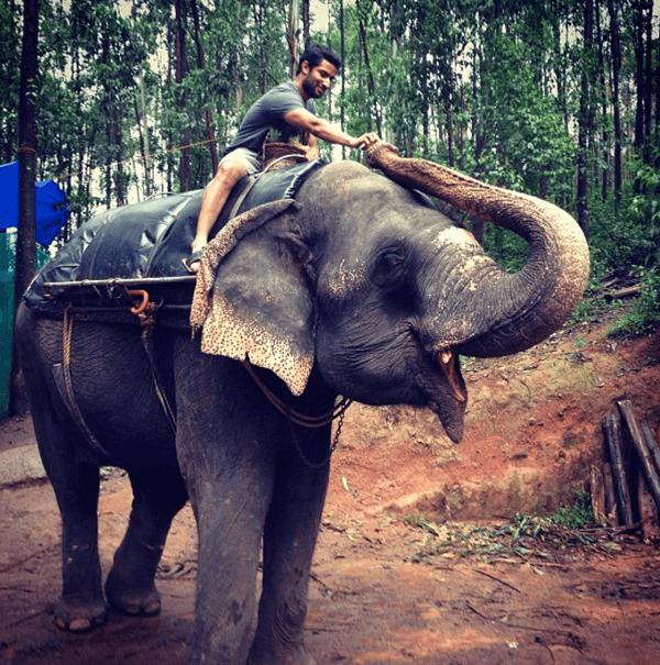 Elephant preserve